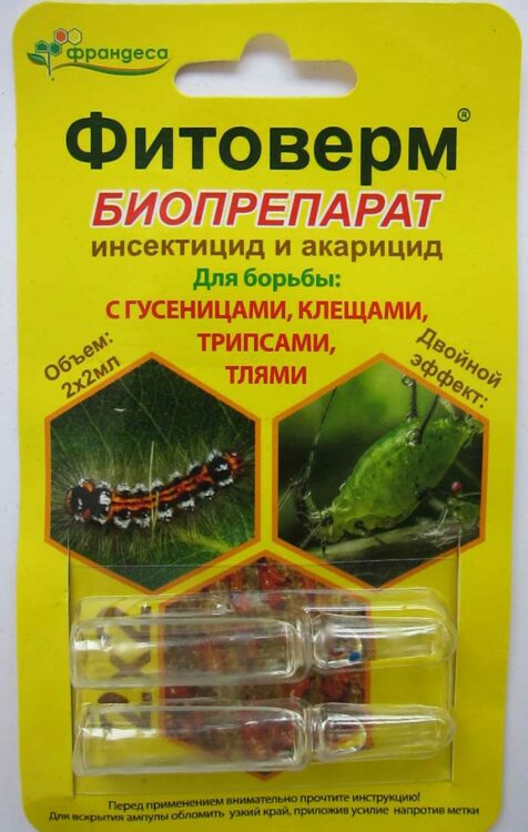 Если бабочка завелась на тепличных или комнатных культурах, можно воспользоваться фумигаторами от мух или комаров. Специализированных составов от белокрылки не существует.